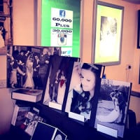 Wedding Photographer Hertfordshire Storybook
