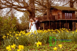 Bride and Groom in the daffodils theobalds park