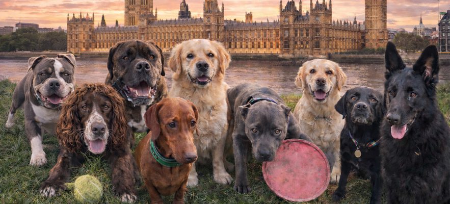 Marketing Header Image